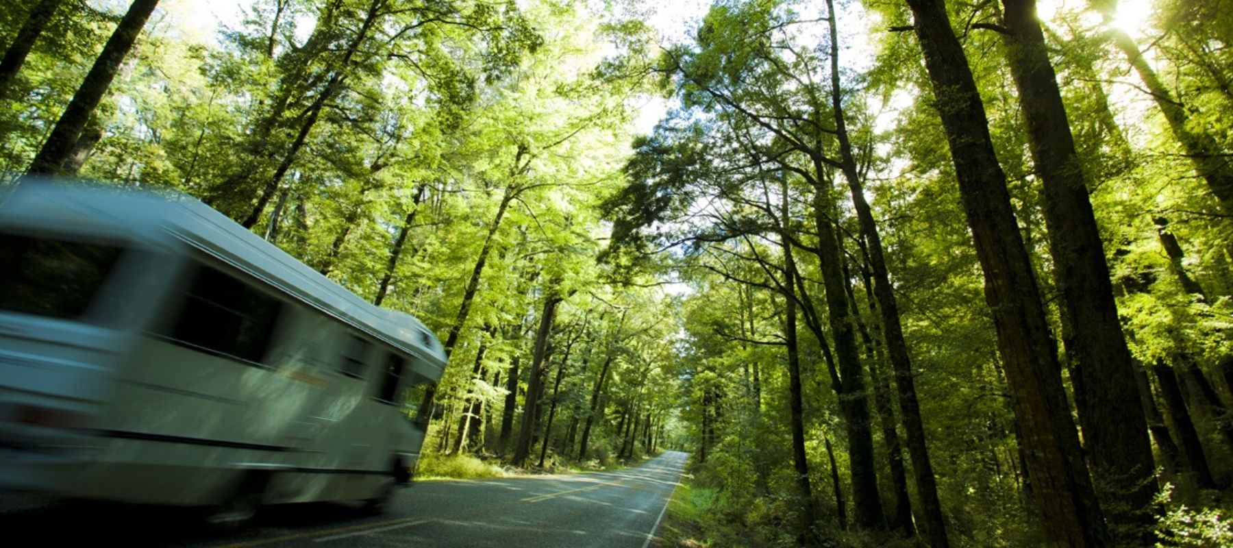 A campervan zooms along Milford Road, on its way to Milford Sound Lodge Rainforest Campervan Park.