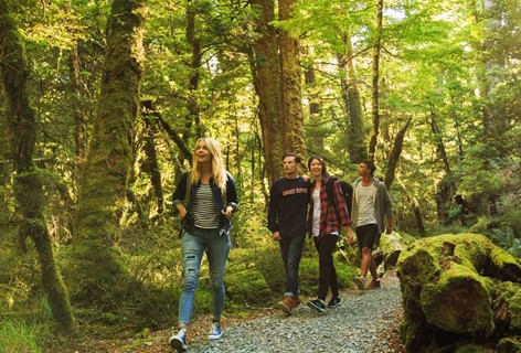 A group of young people walk through the rain forest near Milford Sound Lodge.