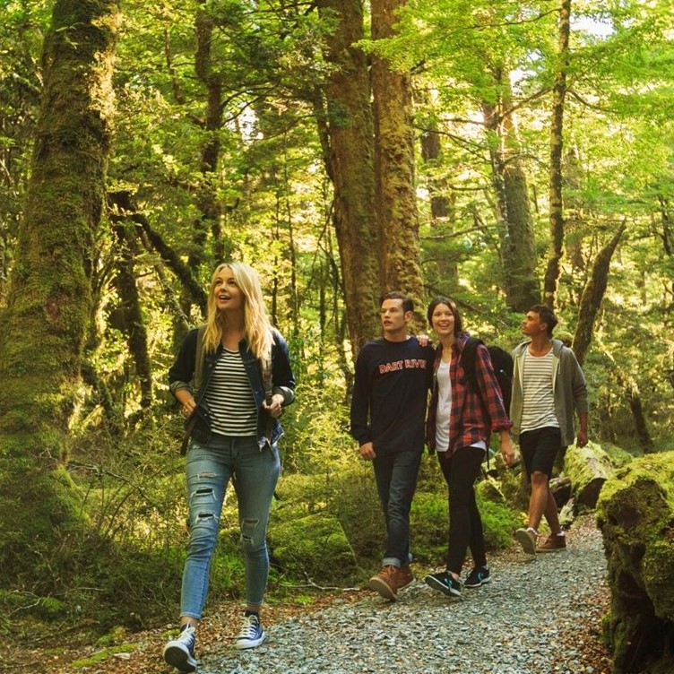 A group of young people walk through the rain forest near Milford Sound Lodge.