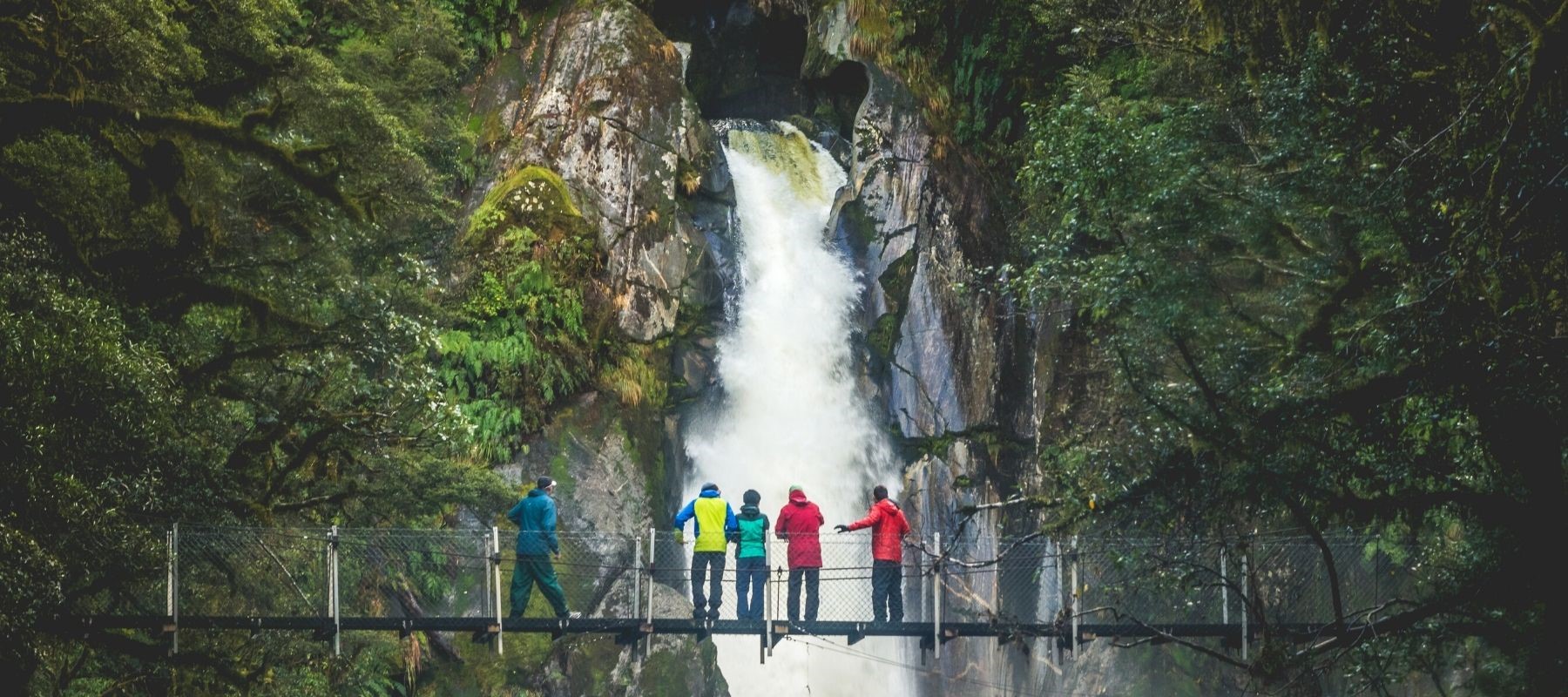 Swing bridge on the Milford Track with hikers. Guests from Milford Sound Lodge.