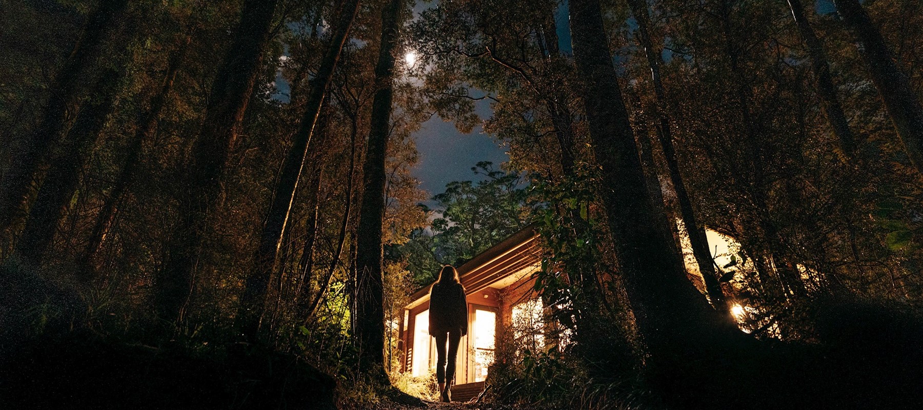 Lady standing in the moonlight under the stars between two tall tress, with Milford Sound Rainforest Facilities in the foreground.