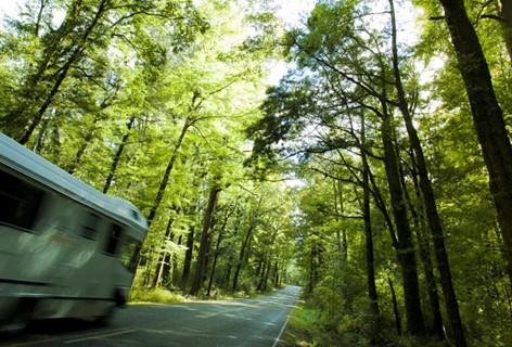 A campervan zooms along Milford Road, on its way to Milford Sound Lodge Rainforest Campervan Park.