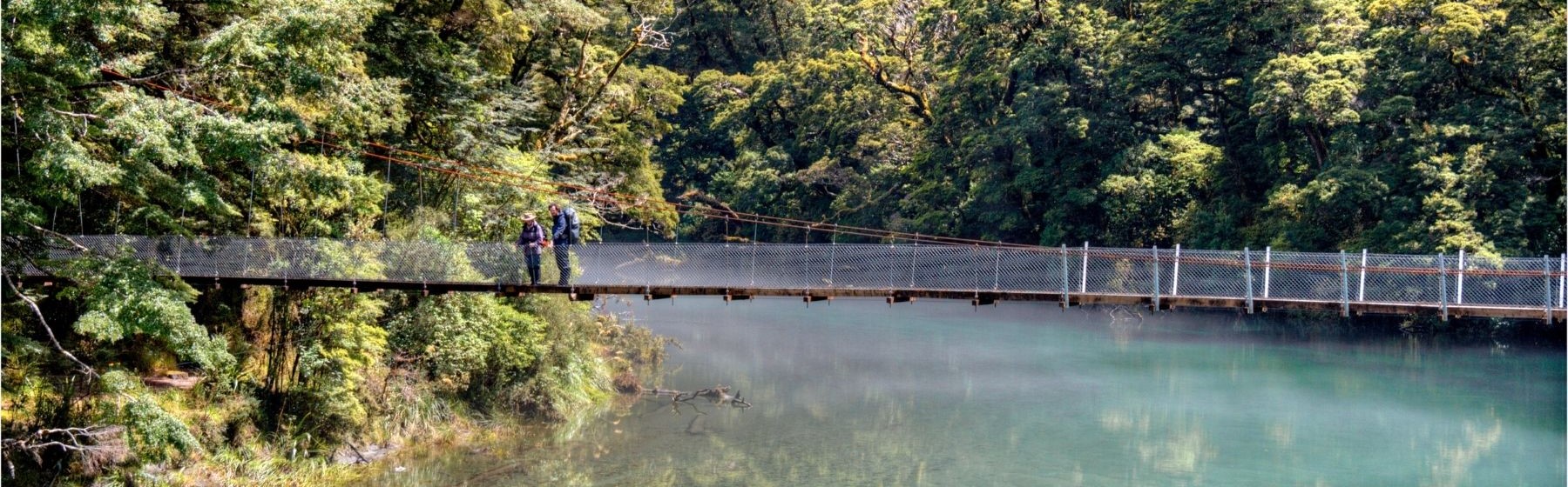 Two hikers stand on a bridge along the Milford Track. 