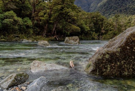 The Clinton River rushes past the Milford Sound Lodge Riverside Chalets.