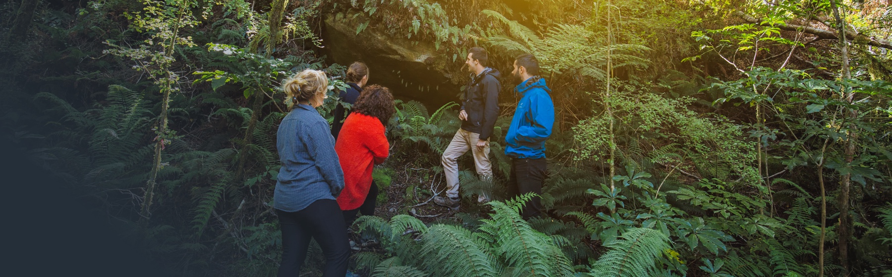 A tour guide shows guests the through the bush on a private Milford Sound Lodge tour.