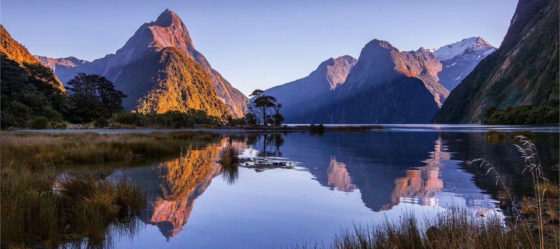 The morning sun aluminates peaks, perfectly mirrored in the calm Milford Sound.